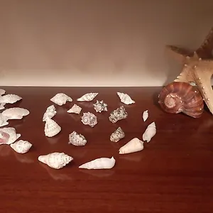 https://casa-lo-scoglio-della-ballerina.it-tuscanyhotel.com